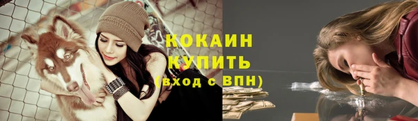 каннабис Белокуриха