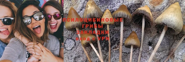 таблы Богданович
