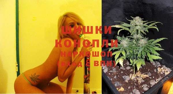 бутират Богородицк