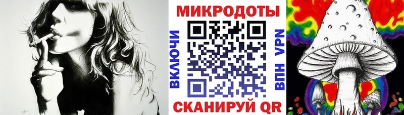 Галлюциногенные грибы Psilocybe  Валдай 